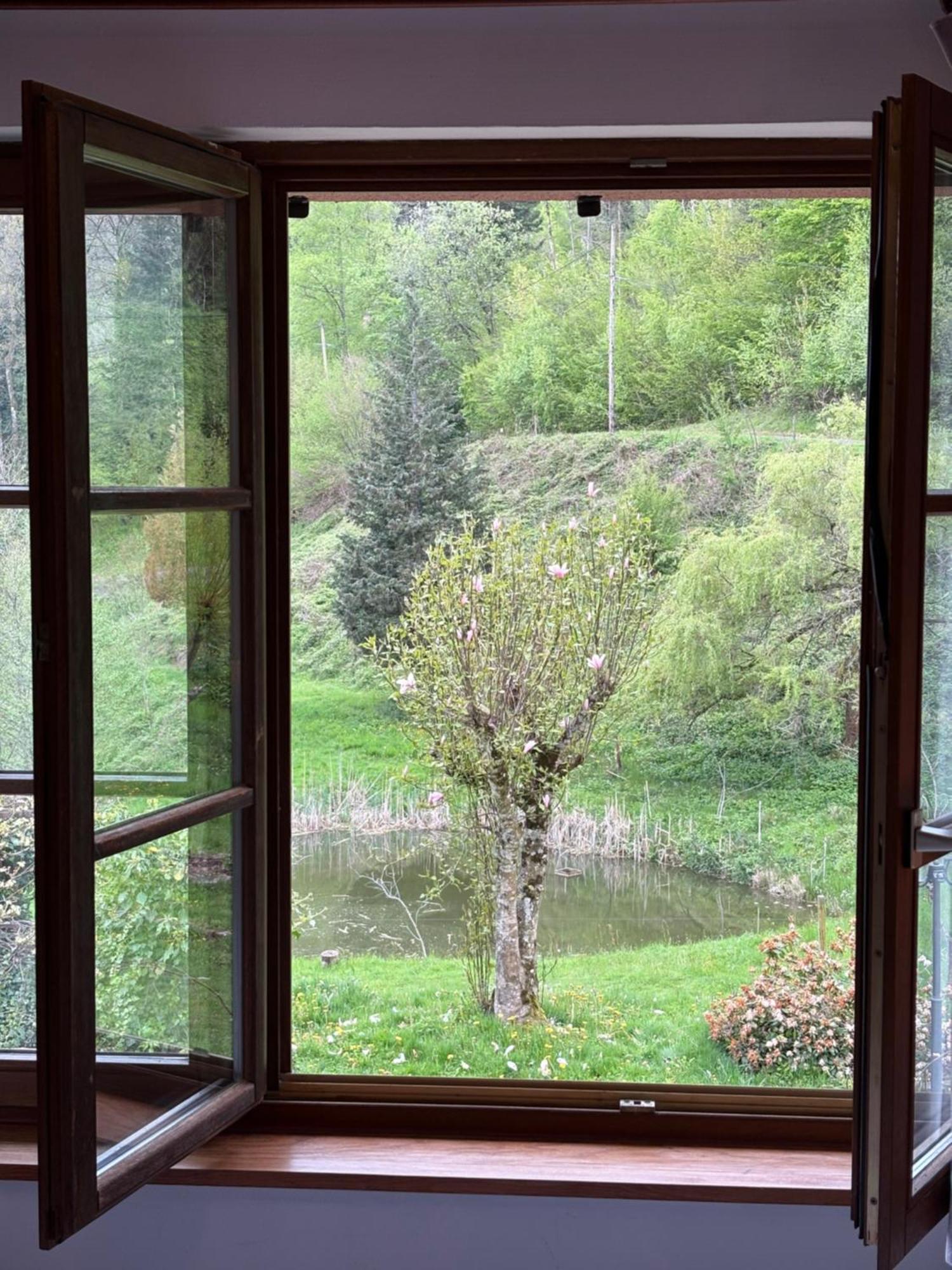 La Belle Charbonniere Hotel La Grande Fosse Room photo